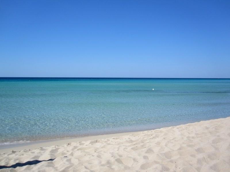 La Pila Masseria Salentina Con Piscina 3 Camere Con 6 Pl Si Animali Domestici Casarano Buitenkant foto