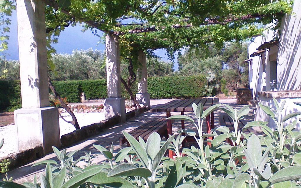 La Pila Masseria Salentina Con Piscina 3 Camere Con 6 Pl Si Animali Domestici Casarano Buitenkant foto